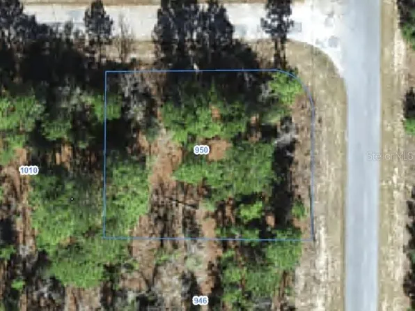 950 W CARY DRIVE LOT 17, CITRUS SPRINGS, FL 34434
