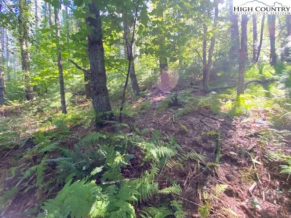 tbd Springtime Lane, West Jefferson, NC 28694