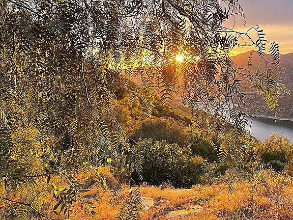 A piece of paradise. 