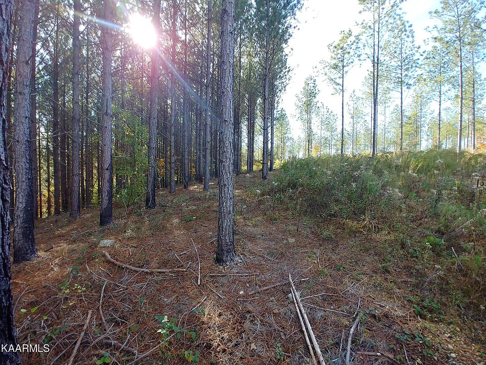 1st image of County Road 225