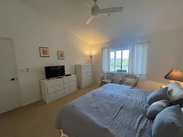 Master bedroom. King size bed. 48" Tv