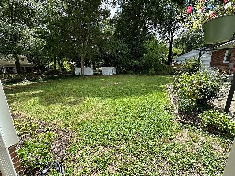 Large backyard.
