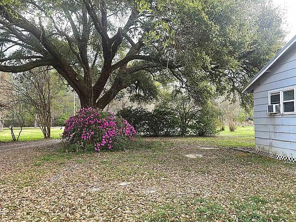 5th image of 17238 Stoney Point Burch Rd