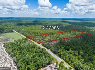 0 Old State Hwy #259, Waynesville, GA 31566