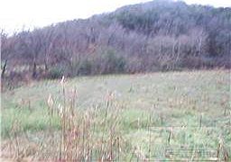 2nd image of 2 Gassaway School Rd