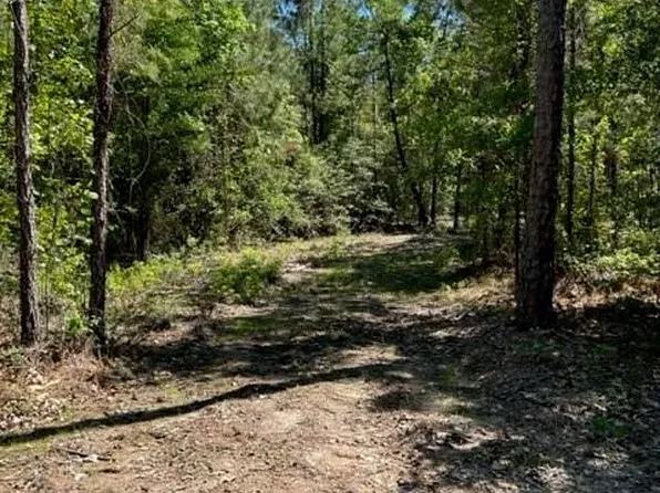 39B Fm 1751, Broaddus, TX 75929