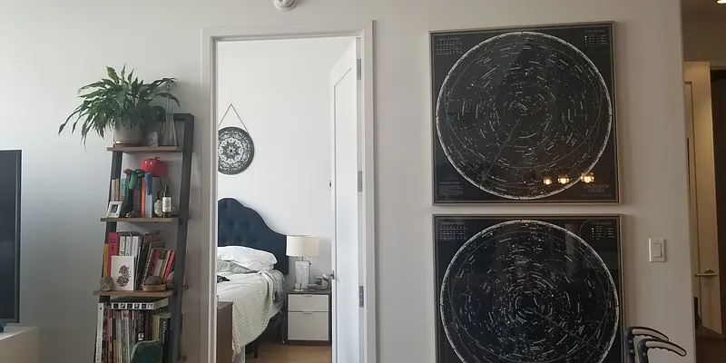 Rented by Fiddler Realty | media 11