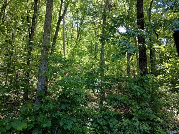 2700 Duncan Ave, Gadsden, AL 35901