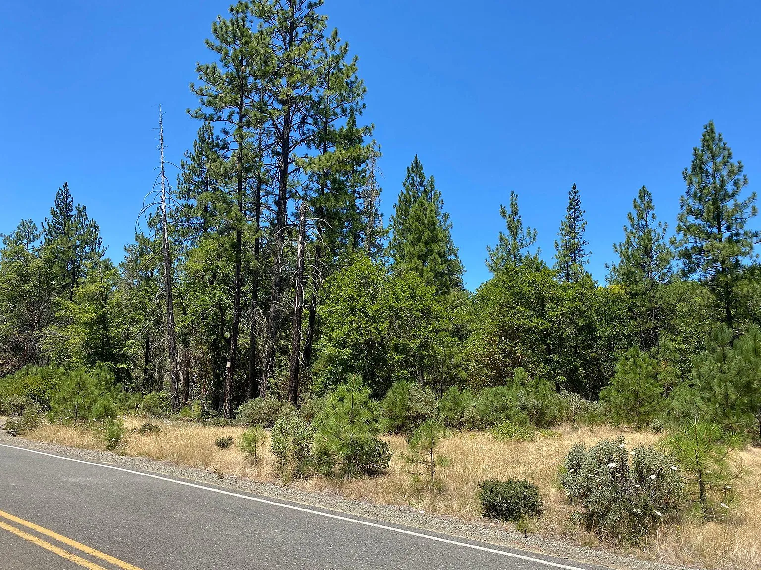 142 Lurline Ln photo 1