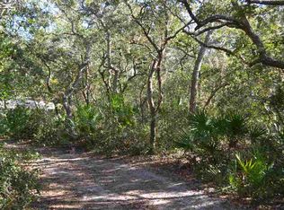 13290 Strickland Bridge Rd #0, Perry, FL 32348
