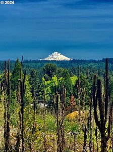 24473 S Beavercreek Rd, Beavercreek, OR, 97004
