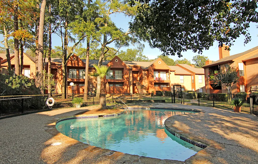 Forest Creek — Photo 3