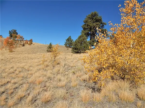2239 Warrior Cir, Como, CO 80456