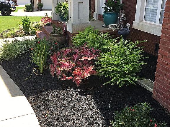 New landscaping