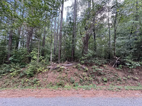 0 Forest Trl Lot 11, Bumpus Mills, TN 37028