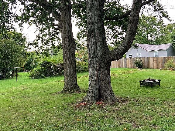 Large lot with huge trees 