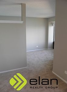 3rd image of 441 E Erie St APT 2102