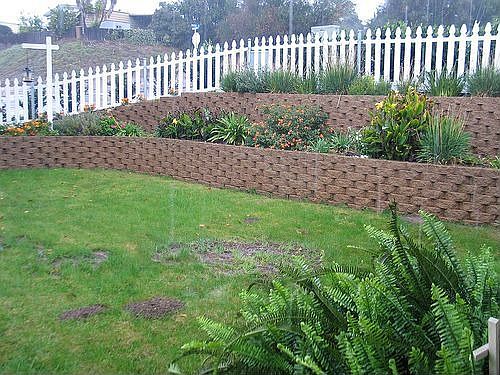 frontyard, wall and fence