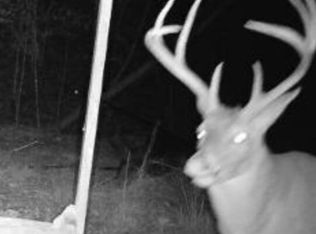 Sturgis Rd, Louisville, MS 39339