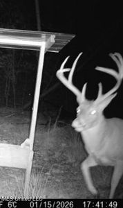 Sturgis Rd, Louisville, MS, 39339