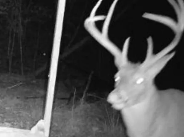 Sturgis Rd, Louisville, MS 39339