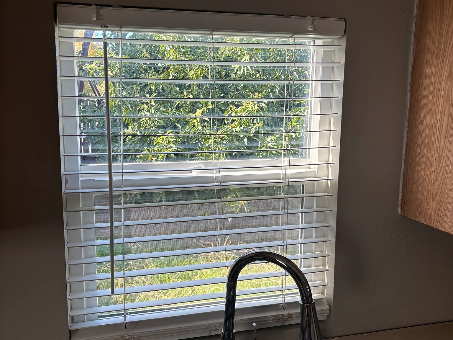 1 bed, 725 sqft, $1,850 — Photo 4