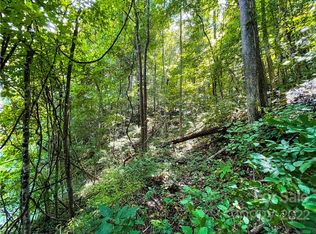 0 Waldroup Rd, Hot Springs, NC 28743