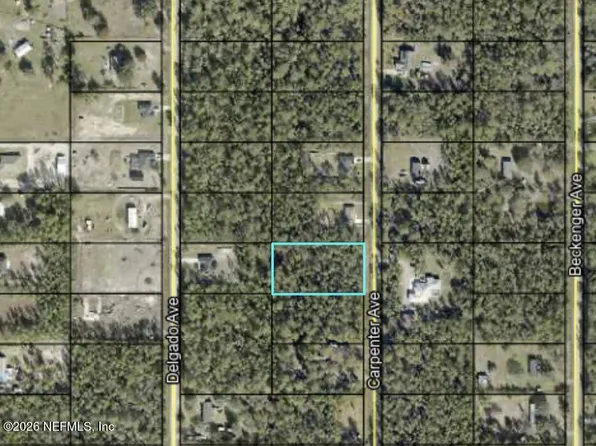10265 CARPENTER Avenue, Hastings, FL 32145