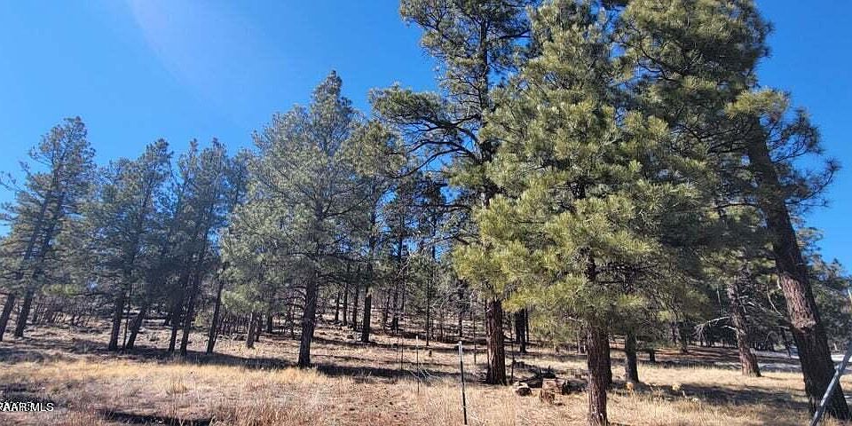 358 Cooper Ranch Rd, Williams, AZ 86046 | MLS #1056458 | Zillow