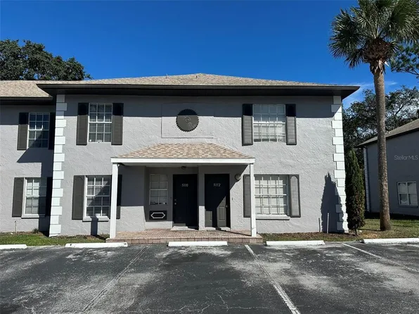 5112 Sunridge Palms Dr, Tampa, FL 33617