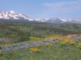 LOT 2B Elk Run Rd, Silverthorne, CO 80498