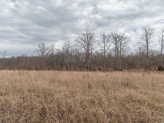 3rd image of 1070 Fawn Dr