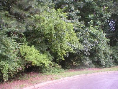 535 Heritage Ct, Monroe, GA, 30655