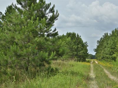 0 Hwy 105, Cleveland, TX, 77328