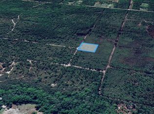 Squares Rd LOT 75, Palatka, FL 32177