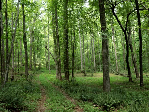 0 County Road 66, Goodwater, AL 35072