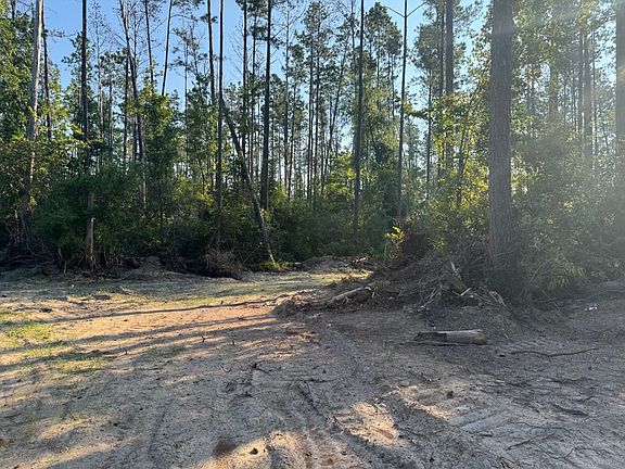 5th image of Dido Loop Lot Wp003