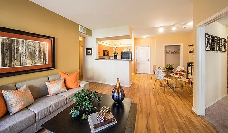 Living Room + Kitchen
