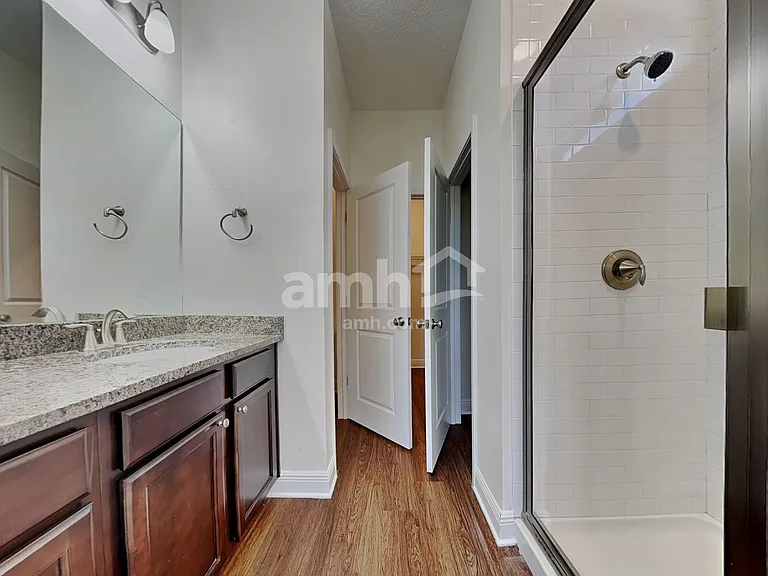 1367 Celery Palm Cv — Photo 17