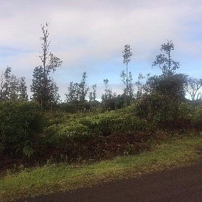 2nd image of 2nd Ave Lot 2763