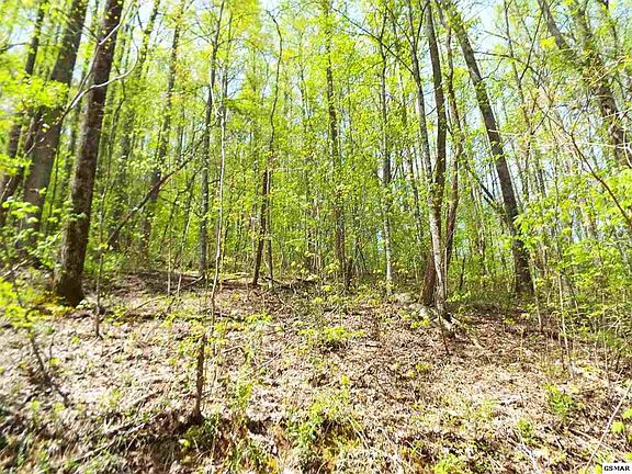 2nd image of 0 Hills Ln