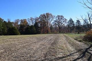1st image of 4 N Cane Creek Road Lots 4 #&-5