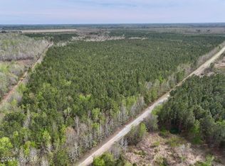 0 Guinea Mill Road, Ernul, NC 28527