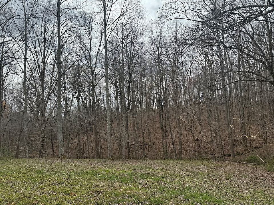 LOT 1 Ralph Spivey Ln, Gainesboro, TN 38562 | Zillow