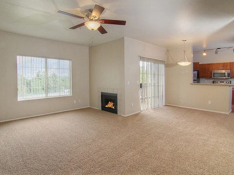 Gas Fireplaces*