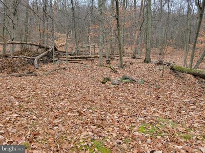 4510 Spring Rd, Shermans Dale, PA, 17090