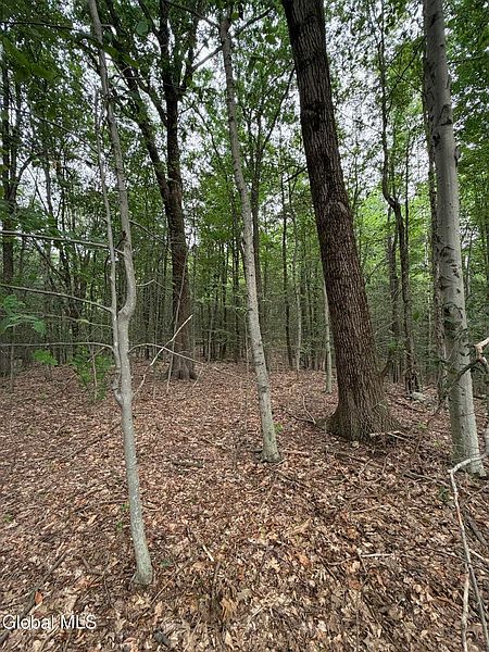 5th image of L184 Black River Road