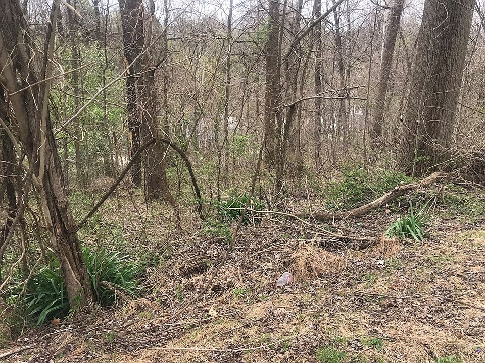 2nd image of 0 Rolf Rd