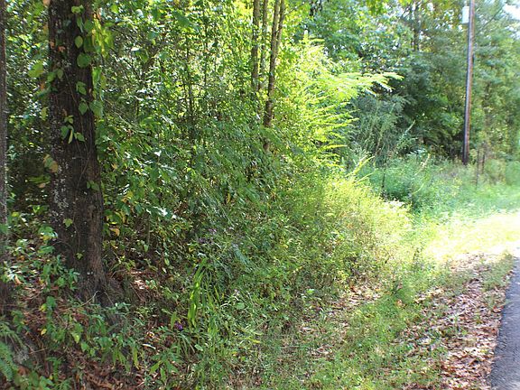 2nd image of 0 Old Wolf Creek Rd #0