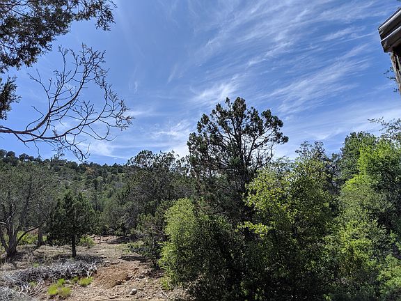 Heavily wooded acerage